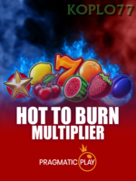Hot To Burn game cover